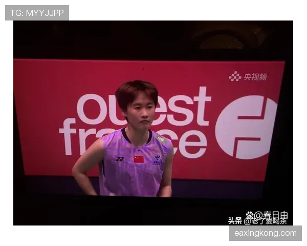 刷到陈雨菲的账单那一刻我就输了——一双鞋的钱够我一个月房租